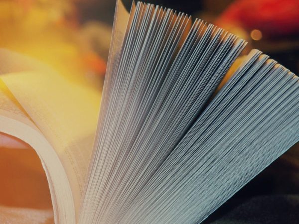 From Fear to Triumph: A Fantasy Journey Through Fire Demon